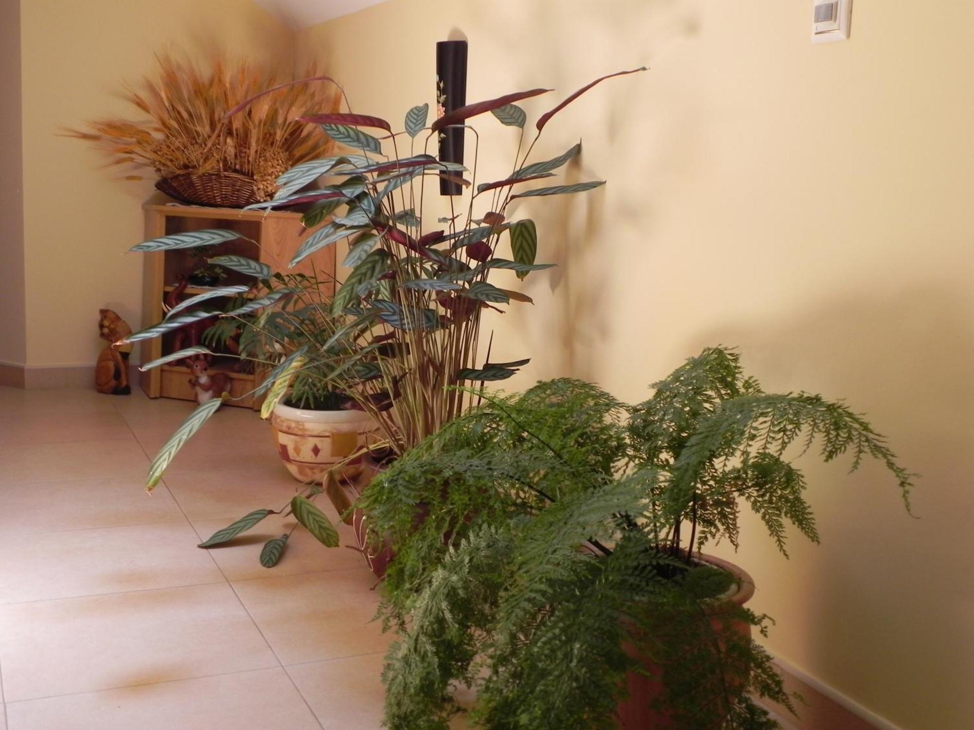 O Lar De Carmina Hotel Devesa Ngoại thất bức ảnh